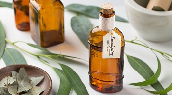 eucalyptus essential oil for sale -Chinaplantoil.jpg
