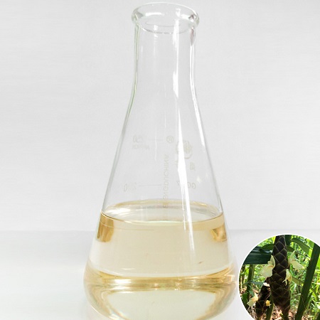 Что такое Zingiber Corallinum Amance Oil