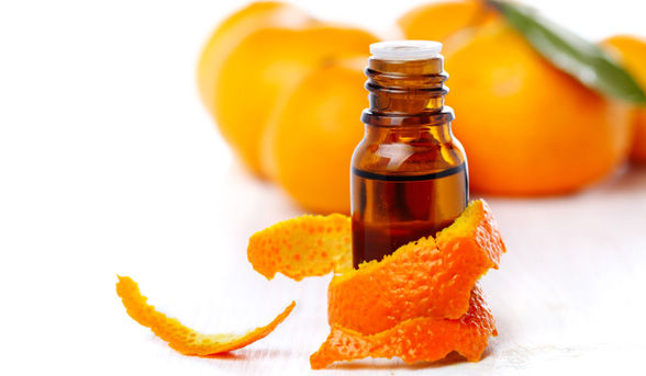 Выращивание и сборы качества оранжевого масла