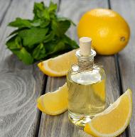 Питательная ценность эфирного масла лимона по сравнению с другими цитрусовыми растениями