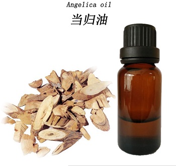 Узнайте лучшую информацию о эфирном масле корня Angelica от Chinaplantoil