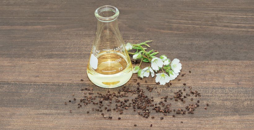 Может ли масло семян Meadowfoam улучшить здоровье ваших волос и кожи?
