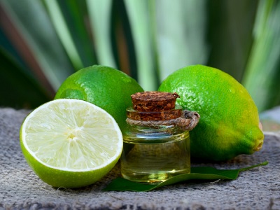 best lime essential oil -Chinaplantoil.jpg